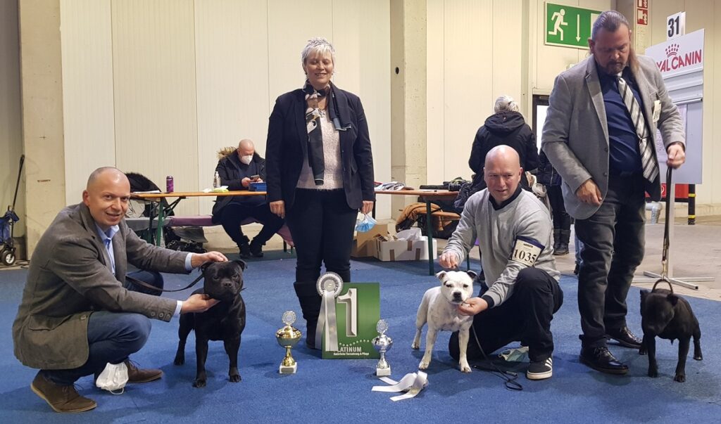 05.12.2021 - Internationale Hundeausstellung Kassel - Eastbull